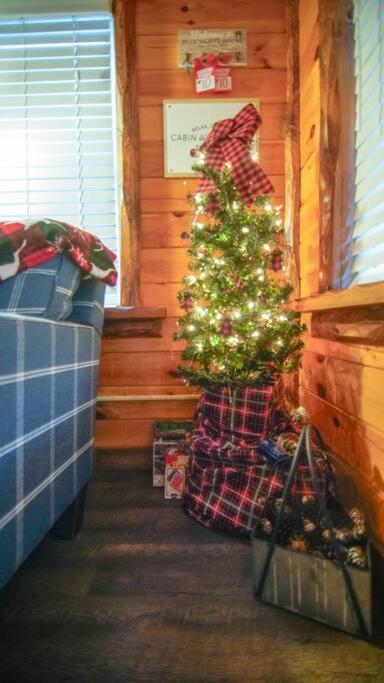 Charming Lakeview Cabin Near Geneva-On-The-Lake! 애슈터뷸라 외부 사진